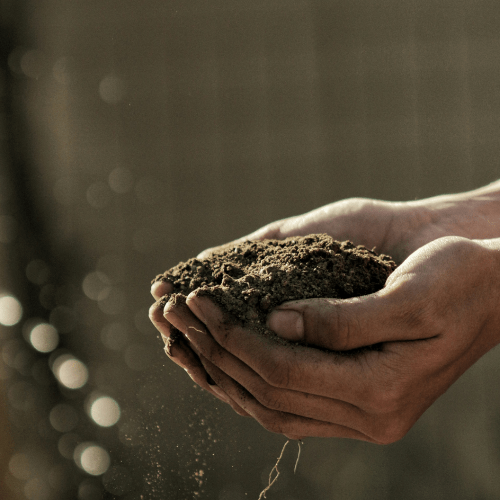 man holding soil